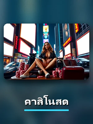 โต๊ะคาสิโนสด คาสิโนสดของ VF238